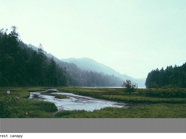 Landscape photograph, sample 06