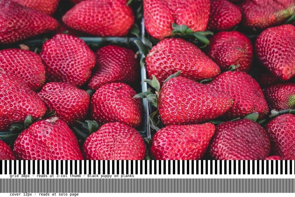 Landscape photograph, sample 16
